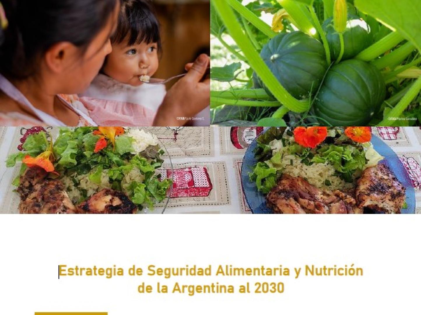 Portada del documento "Trabajo para fortalecer la agenda de Seguridad Alimentaria y Nutricional (SAN) en Argentina"